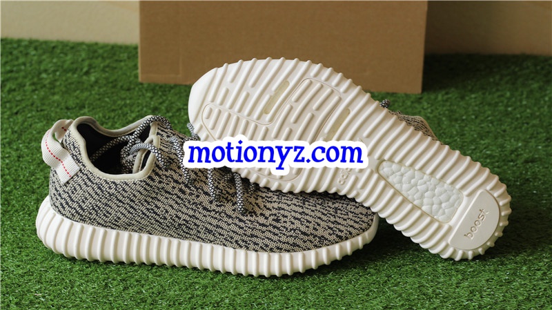 God Version Yeezy Boost 350 Turtle Dove